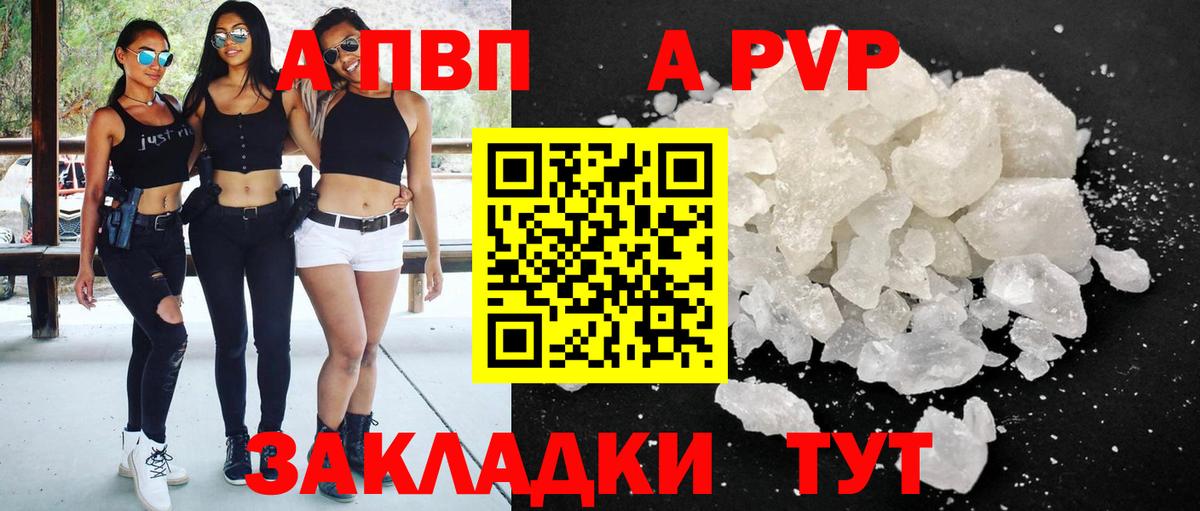 A-PVP СК КРИС Великий Новгород