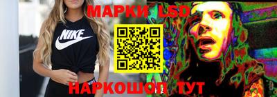 дмт Аргун