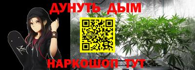 дмт Аргун