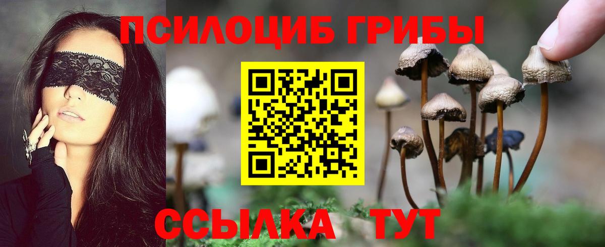 Галлюциногенные грибы ЛСД  купить наркотик  Вход с VPN  Великий Новгород  Псилоцибиновые грибы GOLDEN TEACHER 