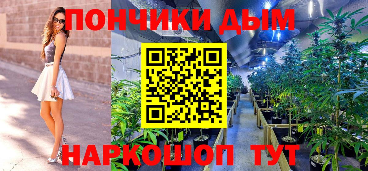 Конопля гибрид  Канабис гибрид  МАРИХУАНА тримм  Великий Новгород  Бошки Шишки тримм  Вход с VPN 